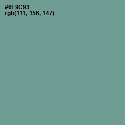 #6F9C93 - Juniper Color Image