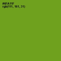 #6FA11F - Christi Color Image