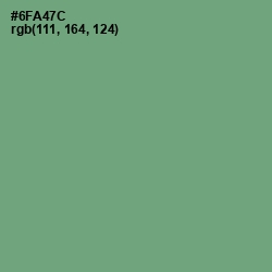 #6FA47C - Fern Color Image