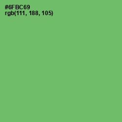 #6FBC69 - Fern Color Image