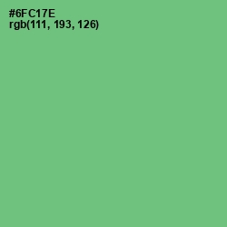 #6FC17E - Mantis Color Image