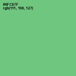 #6FC67F - Pastel Green Color Image