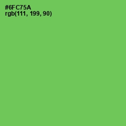 #6FC75A - Mantis Color Image