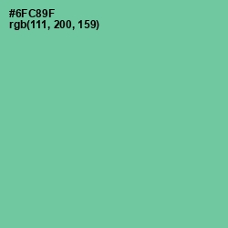 #6FC89F - De York Color Image