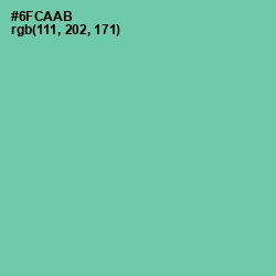 #6FCAAB - De York Color Image