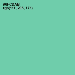 #6FCDAB - De York Color Image