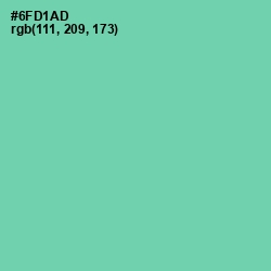 #6FD1AD - De York Color Image