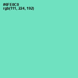#6FE0C0 - Aquamarine Color Image