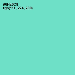 #6FE0C8 - Aquamarine Color Image