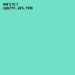 #6FE1C7 - Aquamarine Color Image