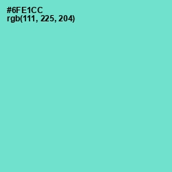 #6FE1CC - Aquamarine Color Image