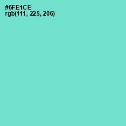 #6FE1CE - Aquamarine Color Image