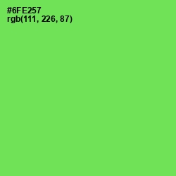 #6FE257 - Pastel Green Color Image