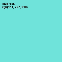 #6FE3DA - Aquamarine Color Image
