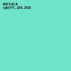 #6FE4CA - Aquamarine Color Image