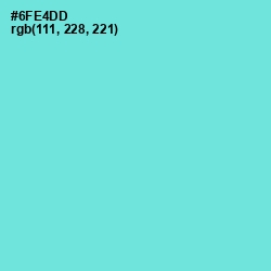 #6FE4DD - Aquamarine Color Image