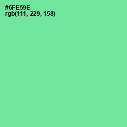 #6FE59E - De York Color Image