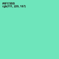 #6FE5BB - De York Color Image