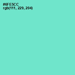 #6FE5CC - Aquamarine Color Image