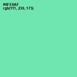 #6FE6AF - De York Color Image