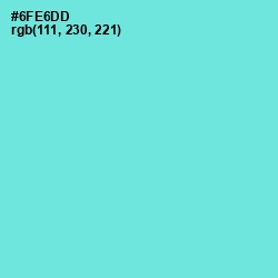 #6FE6DD - Aquamarine Color Image