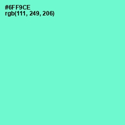 #6FF9CE - Aquamarine Color Image