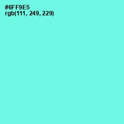 #6FF9E5 - Aquamarine Color Image