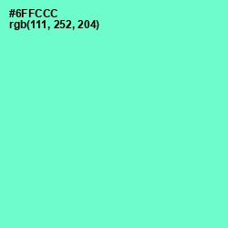 #6FFCCC - Aquamarine Color Image