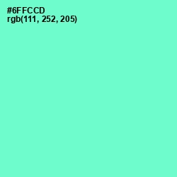 #6FFCCD - Aquamarine Color Image