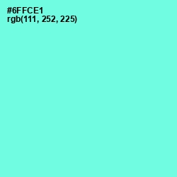 #6FFCE1 - Aquamarine Color Image