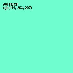 #6FFDCF - Aquamarine Color Image