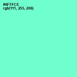 #6FFFCE - Aquamarine Color Image