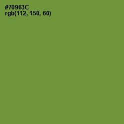 #70963C - Olive Drab Color Image