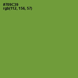 #709C39 - Olive Drab Color Image