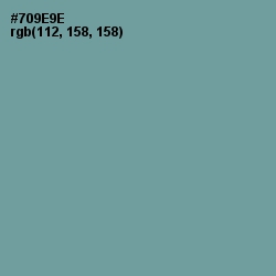 #709E9E - Juniper Color Image