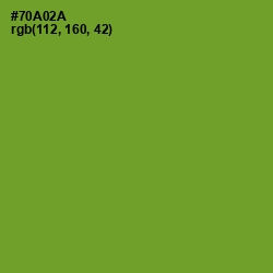 #70A02A - Olive Drab Color Image