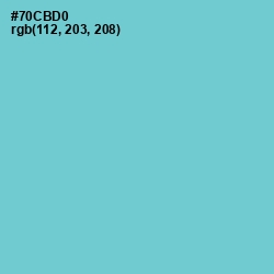 #70CBD0 - Downy Color Image