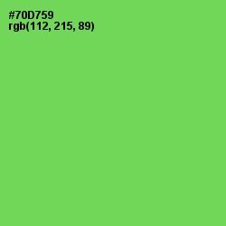 #70D759 - Mantis Color Image