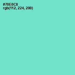 #70E0C8 - Aquamarine Color Image