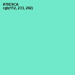 #70E9CA - Aquamarine Color Image