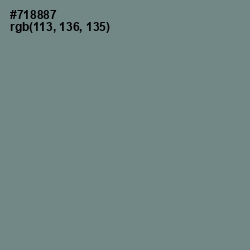 #718887 - Blue Smoke Color Image