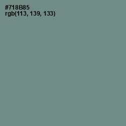 #718B85 - Blue Smoke Color Image