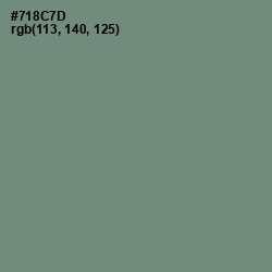 #718C7D - Xanadu Color Image