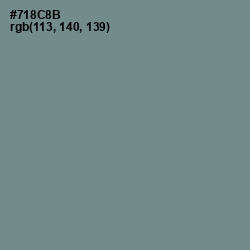 #718C8B - Blue Smoke Color Image