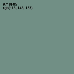 #718F85 - Blue Smoke Color Image