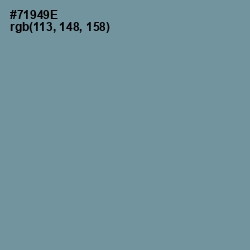 #71949E - Juniper Color Image