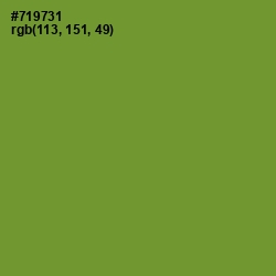 #719731 - Olive Drab Color Image