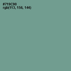 #719C90 - Juniper Color Image