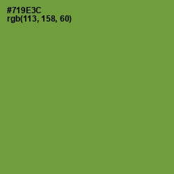 #719E3C - Olive Drab Color Image