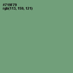 #719F79 - Laurel Color Image